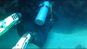 Divers exploring the reef